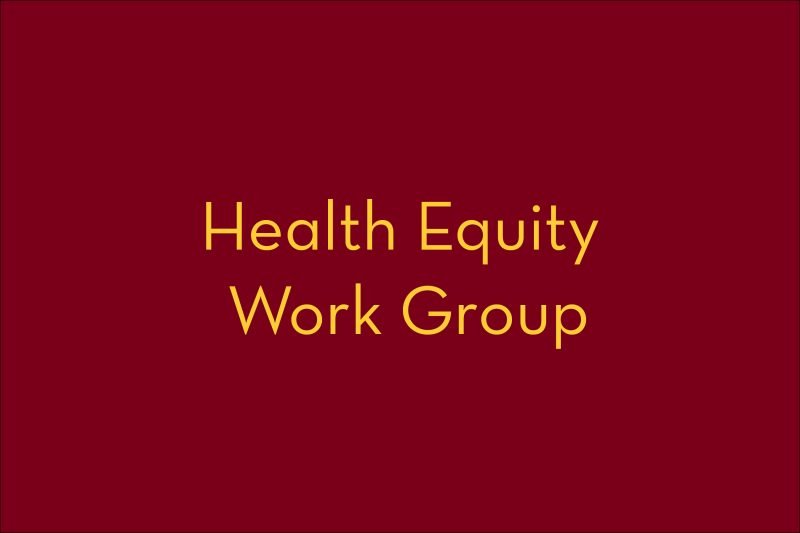 Health equity workgroup graphic