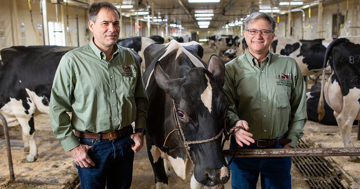 SPH facuty Bruce Alexander and Jeff Bender standing with a black and white cow in a barn with other cows in background